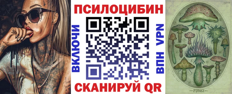 где продают   Северск  Галлюциногенные грибы Psilocybe 